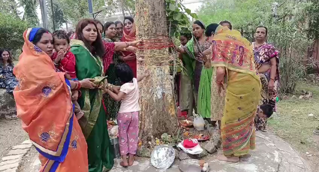 Amla Navami 2024