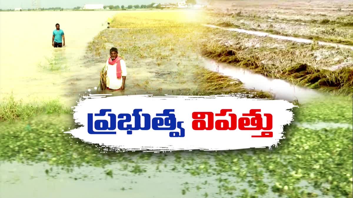 ycp_govt_neglected_farmers