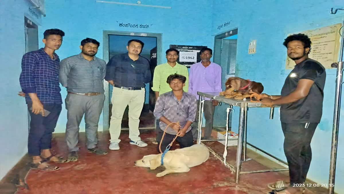 Dog Blood Donation In Karnataka