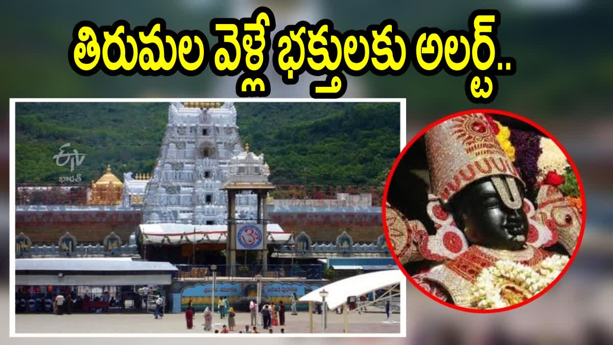 tirumala news