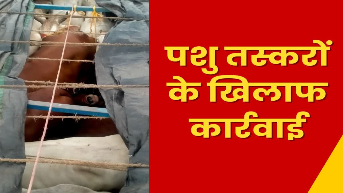 Crime Action against animal smugglers in Giridih