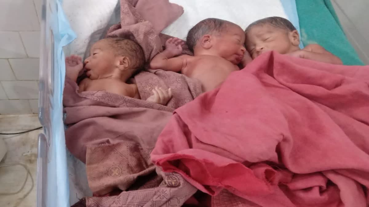 Woman Gives Birth To Triplets