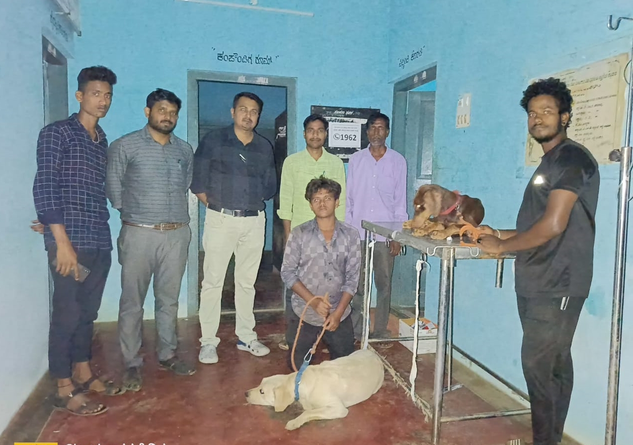 Dog Blood Donation In Karnataka