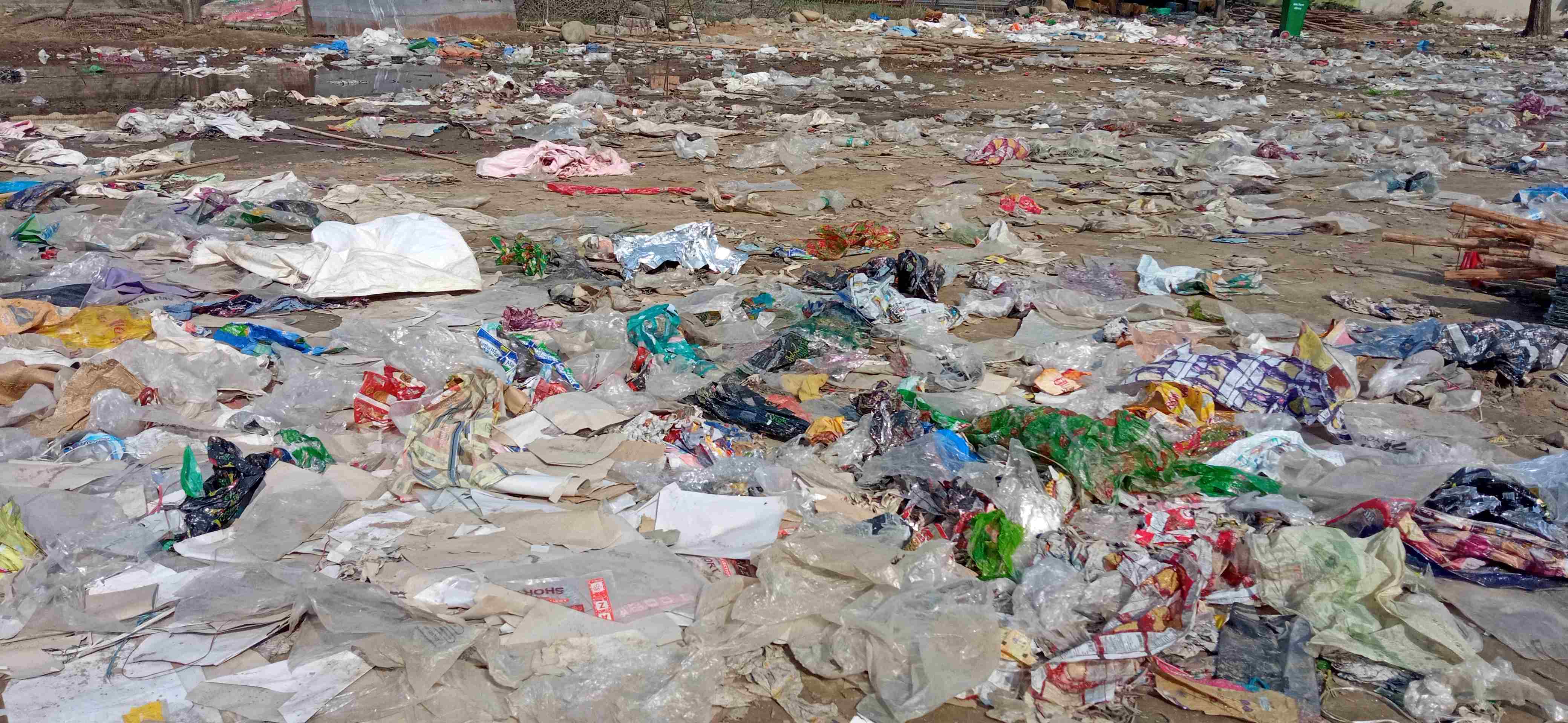 Garbage Problem in Srinagar