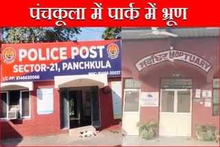 fetus found in Panchkula Crime News