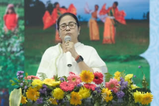 Mamata Banerjee at Jalpaiguri