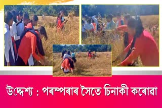 Farmers busy in paddy fields