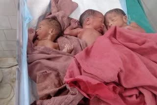 Woman Gives Birth To Triplets