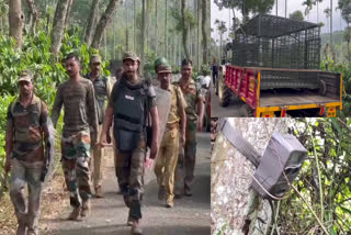 tiger attack  wayanad tiger attack  forest department  forest department intensified the search for tiger  കടുവ കാണാമറയത്ത്  കടുവയ്ക്കായുള്ള തെരച്ചിൽ ഊർജ്ജിതമാക്കി  വനം വകുപ്പ്  കടുവ ആക്രമണം  Rahul Gandhi  കടുവയെ പിടിക്കൂടാൻ വനംവകുപ്പ്  Forest department to catch the tiger