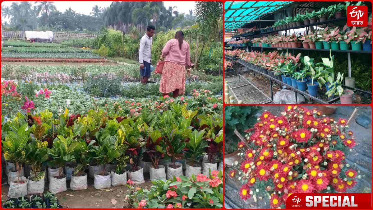 Balagarh Nursery Business