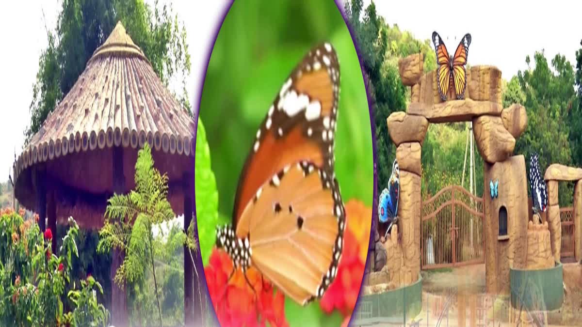 Butterfly Park in Mulapadu