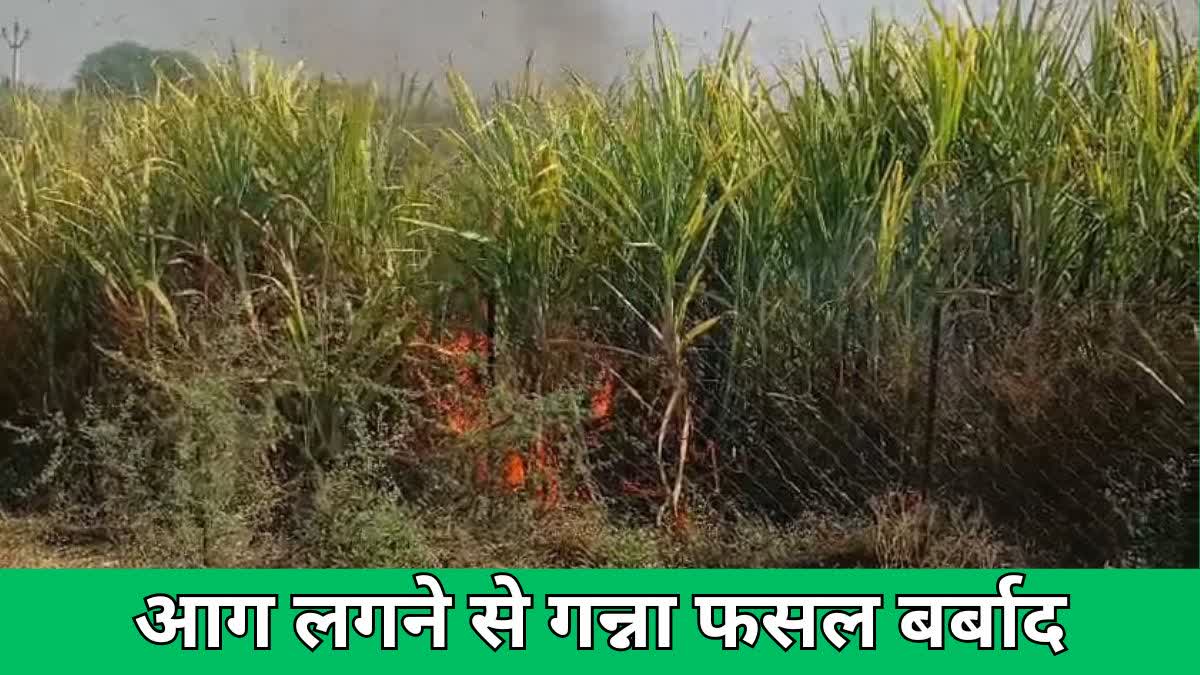 fire in sugarcane field