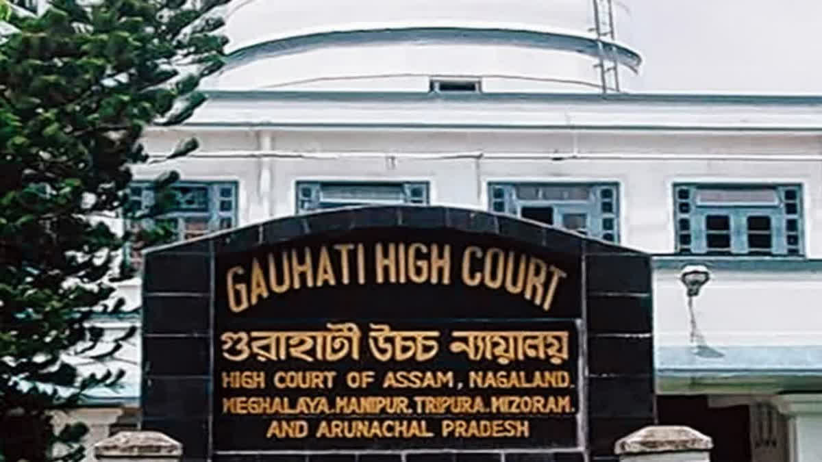 Gauhati High Court verdict