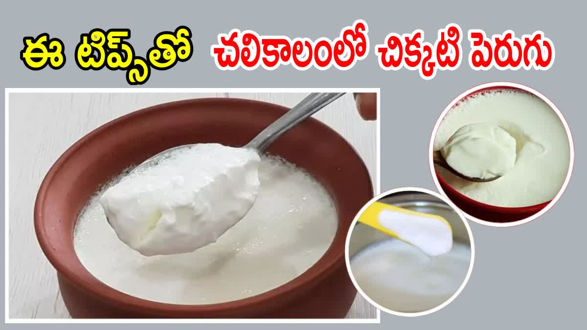 Tips to Making Thick Curd in Winter