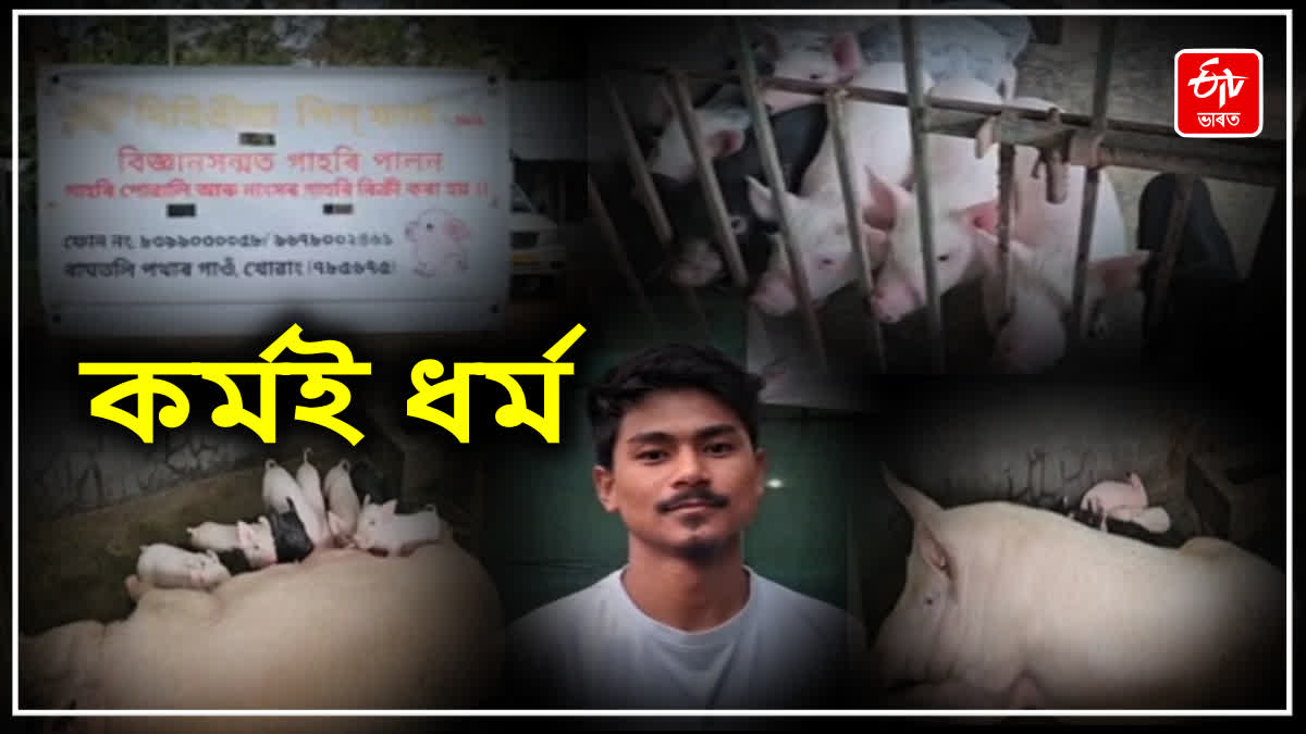 Dibrugarh pig farmer