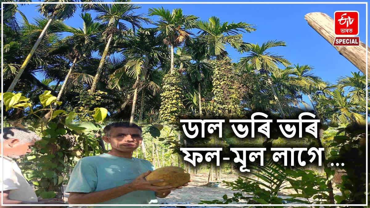 DHEMAJI ORGANIC FARMER STORY