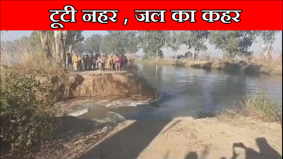 Sundar branch canal broke in Nandgarh village of Julana Jind hundreds of acres of crops submerged in water