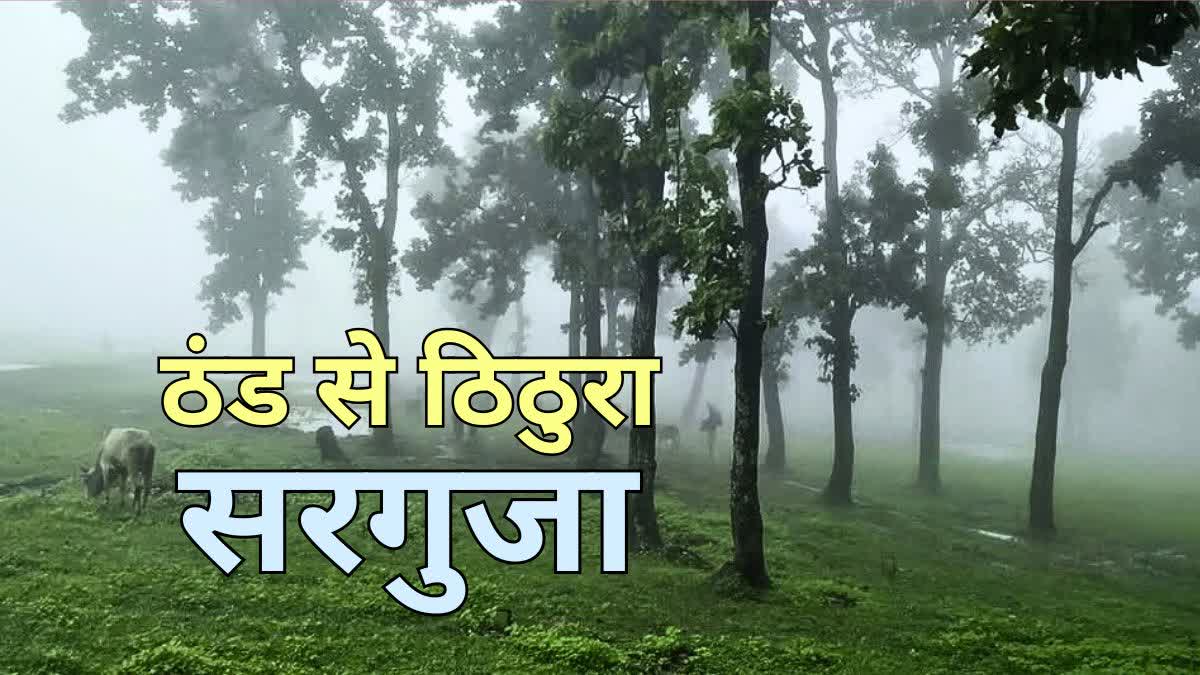 Chhattisgarh Weather Forecast