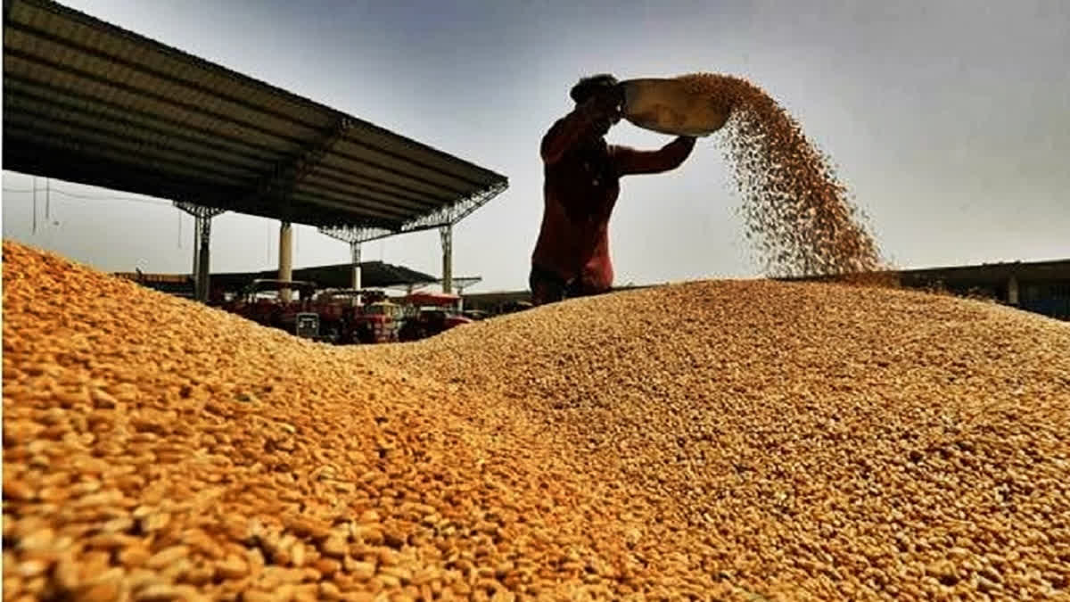 ಗೋಧಿ ದಾಸ್ತಾನಿಗೆ ಮಿತಿ ಹೇರಿದ ಕೇಂದ್ರ ಸರ್ಕಾರ