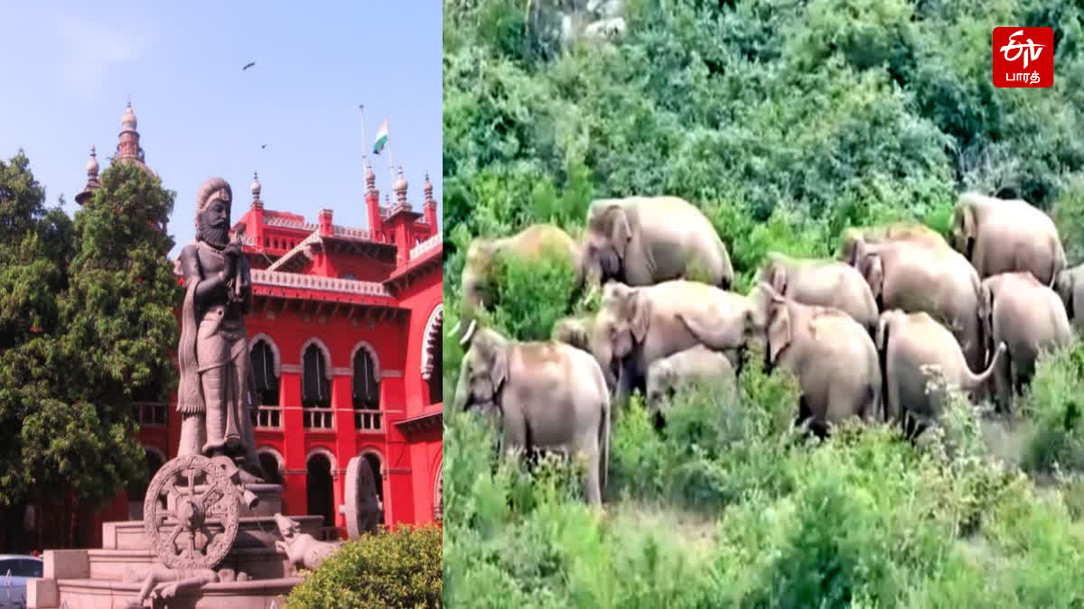 Madras High Court