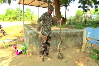 Snake Catcher Jayakar Special Story