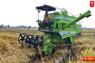 PADDY CUTTING MACHINE  SHIVAMOGGA  ಭತ್ತ ಕಟಾವು ಯಂತ್ರ  ಭತ್ತ ಬೆಲೆ ಕುಸಿತ