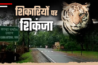 OPERATION WILD TRAP KANHA