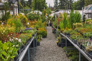 nurseries in kolkata