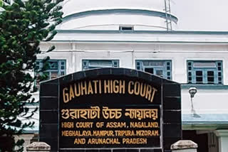 Gauhati High Court verdict