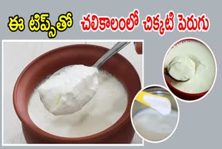 Tips to Making Thick Curd in Winter