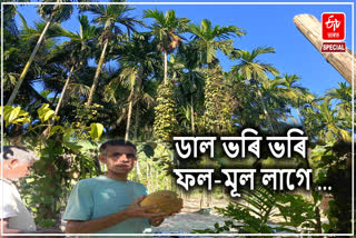 DHEMAJI ORGANIC FARMER STORY