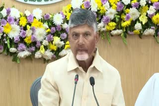 CM Chandrababu on Swarnandhra Vision-2047