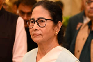 Centre Must Act, Protect Minorities In Bangladesh: Mamata