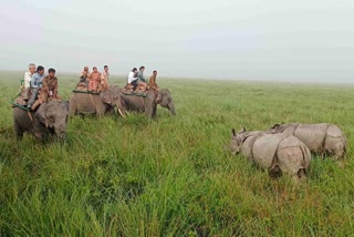 Kaziranga: A Tale Of Two Legends And Story Behind World-Famous National Park