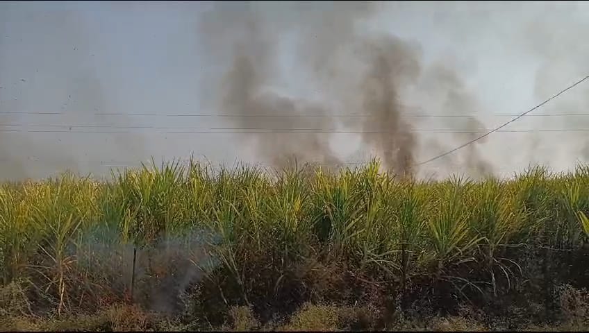 fire in sugarcane field