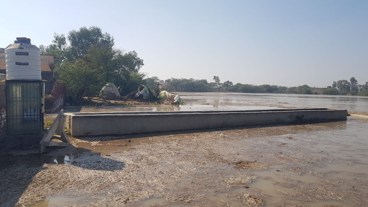 Sundar branch canal broke in Nandgarh village of Julana Jind hundreds of acres of crops submerged in water