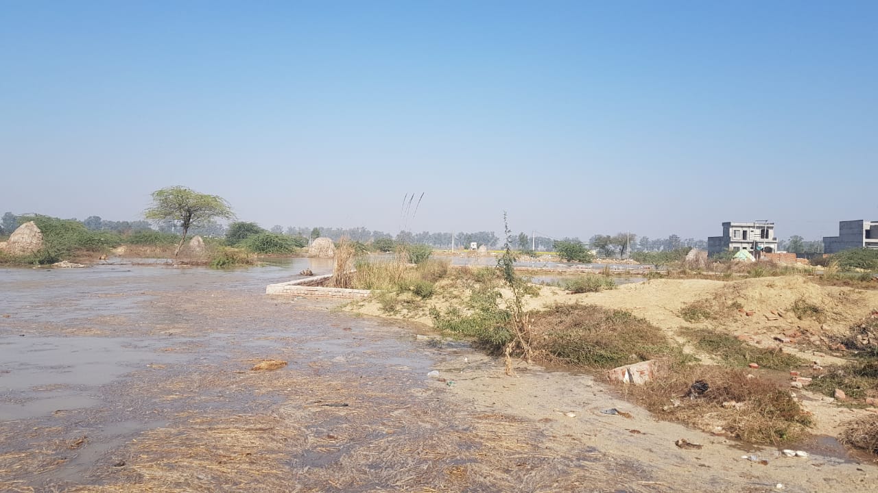 Sundar branch canal broke in Nandgarh village of Julana Jind hundreds of acres of crops submerged in water