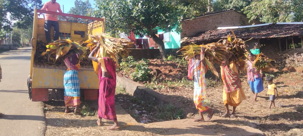 ହଦଳୀ ପତ୍ରରୁ ତେଲ, ନୂଆ ସମ୍ଭାବନାର ସନ୍ଧାନରେ କୋରାପୁଟର ଆଦିବାସୀ ମହିଳା