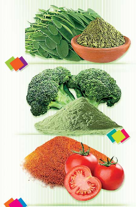 vegetables-and-fruits-using-as-powders-to-prepare-juice-and-other-recipes