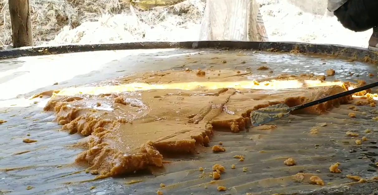 श्रीगंगानगर का गुड़, jaggery of Sriganganagar