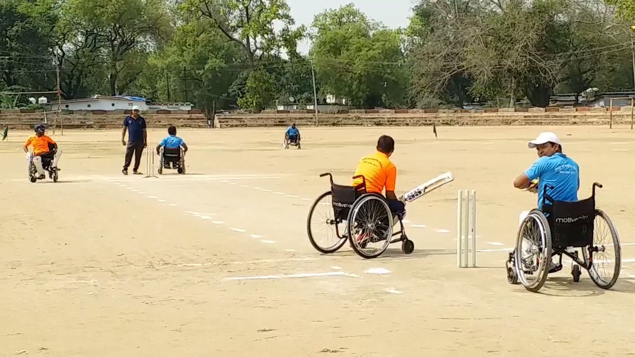 wheelchair cricket tournament is being organized in korba