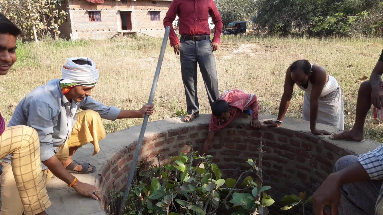 Nilgai fell into well