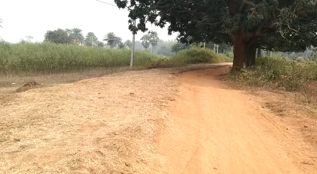 the road leading to bhalasumiha village in jarmundi block of dumka needs proper construction