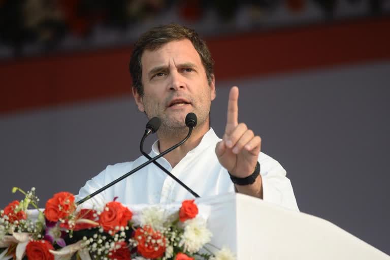 राहुल गांधी, कांग्रेस नेता(फाइल फोटो)