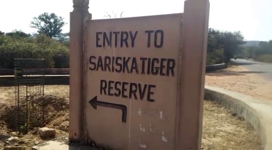 Sariska Tiger Project Mining,  Alwar Marble Mining,  Alwar Sariska Mining Restricted Area