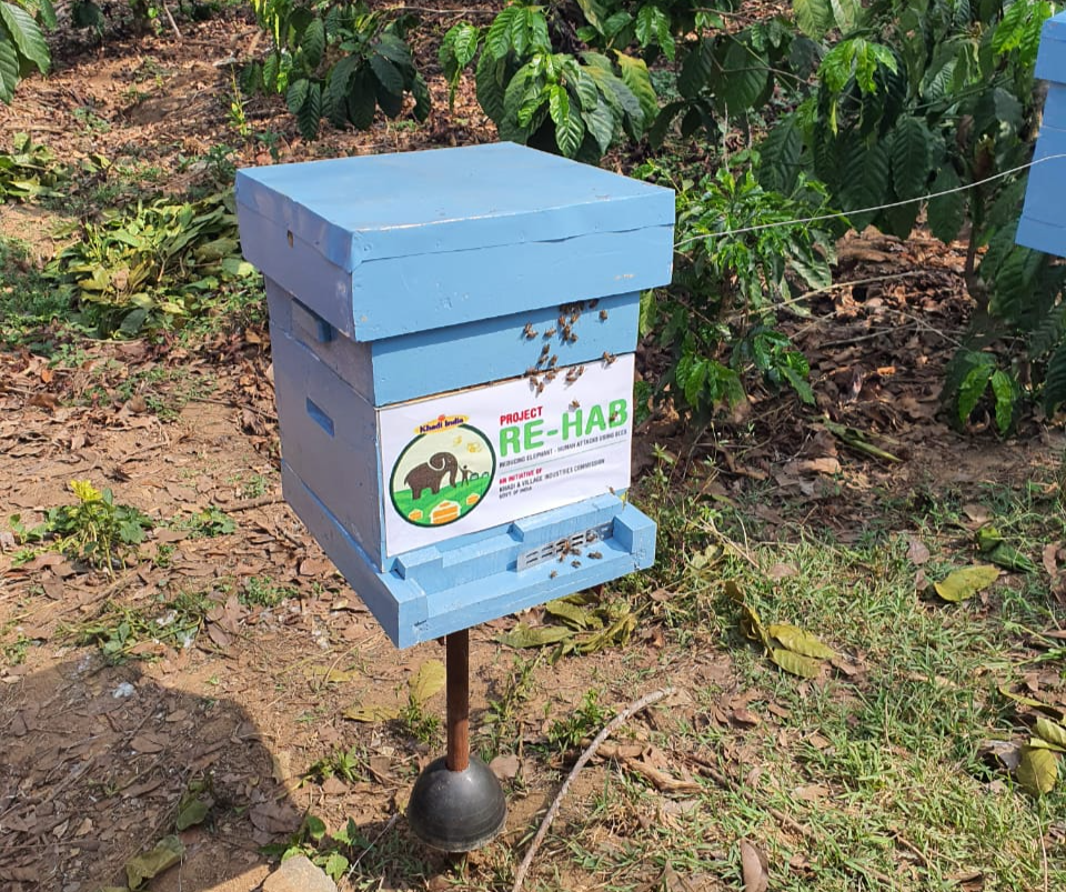 Bee fences to ward off elephant attacks