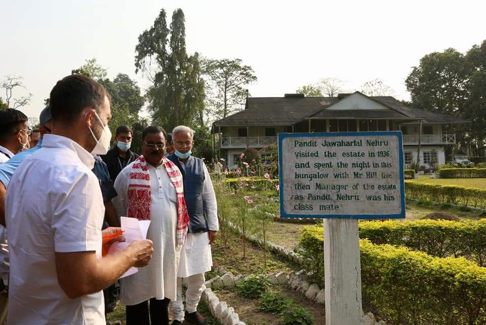 असम के चाय बागान में राहुल गांधी, छत्तीसगढ़ के सीएम भूपेश बघेल व अन्य (फाइल फोटो)