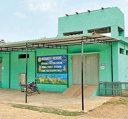 monkey rehabilitation center in Nirmal district.