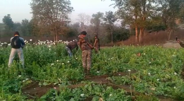 naxalite attempt to trap police on Palamau-Chatra border