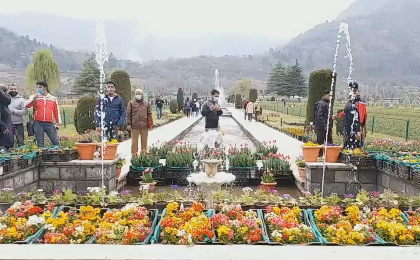 Asia's largest tulip garden